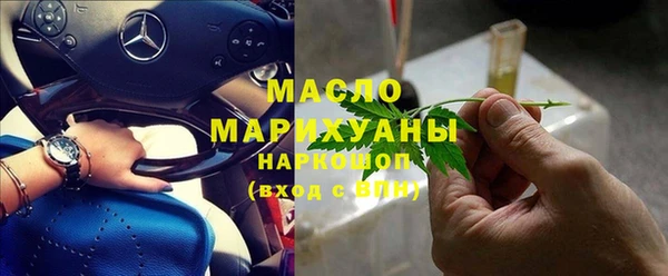 гидра Горняк