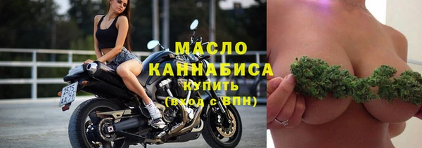 гидра Горняк