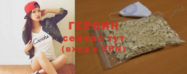 гидра Горняк