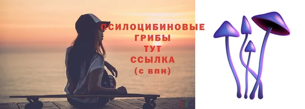 гидра Горняк