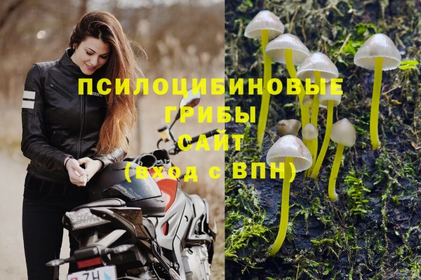 гидра Горняк
