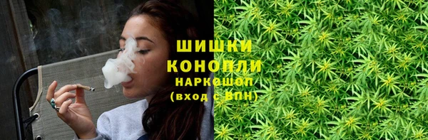 стаф Горнозаводск