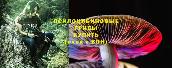 стаф Горнозаводск