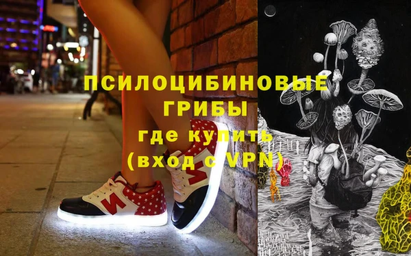 гидра Горняк