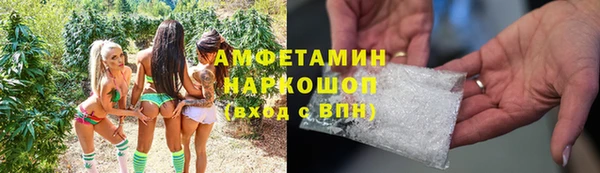 гидра Горняк