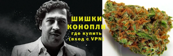 стаф Горнозаводск