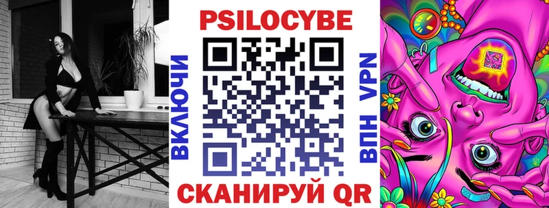 Псилоцибиновые грибы Psilocybine cubensis сколько стоит mega Новомосковск